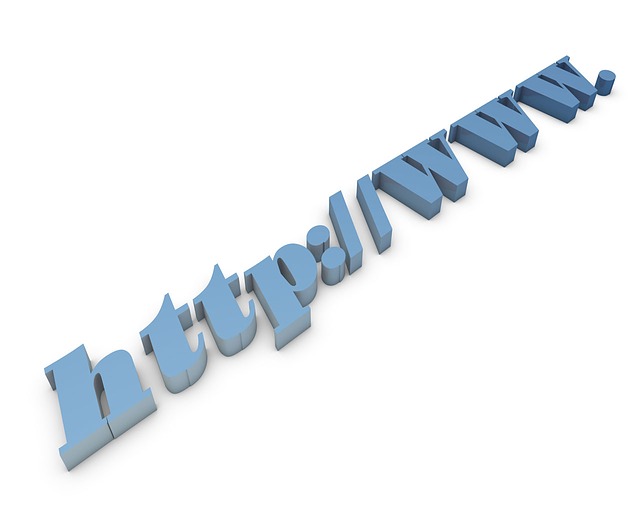 Fernwartung WebClient